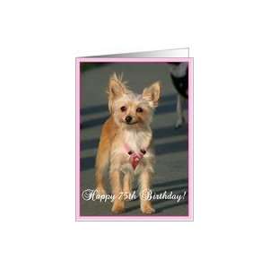  Happy 75th Birthday Chihuahua Dog Card Toys & Games