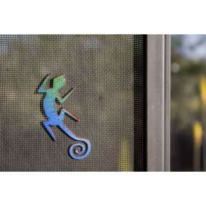  Lizard Magnetic Screen Saver