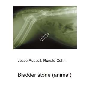  Bladder stone (animal) Ronald Cohn Jesse Russell Books
