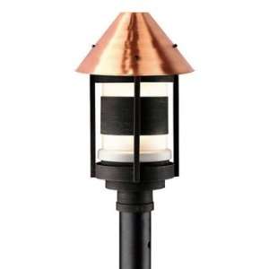  Forecast F8429 23 Lakeview Path Light Shade, Satin Copper 