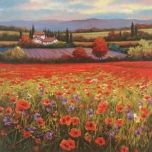  Poppy Pastures I by T.C. Chiu 24x24