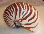 perlboot nautilus  