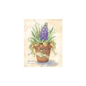  Lavender Hyacinth    Print