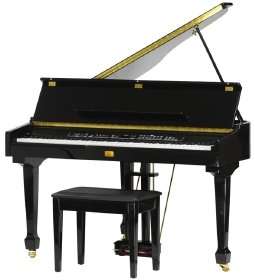 Behringer Eurogrand EG8180 BK Digital Piano (80 Watt Lautsprecher 
