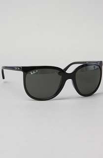 Ray Ban The Cats 1000 Sunglasses in Black  Karmaloop   Global 