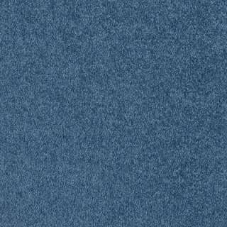 TM Residential Benchmark   Color Breezy 12 ft. Carpet 0192D 32 12 at 