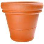 Search Results You searched for terra cotta pots  63 PRODUCTS