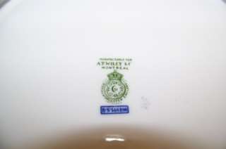 Royal Worcester Bone China Dinner Plate 546206 Wiley Blue Green 