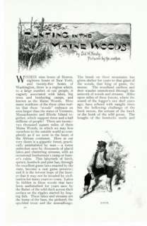 1898 Antique Magazine Article, HUNTING IN THE WOODS OF MAINE 