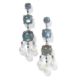   Jewelry with Carol Brodie Multigemstone Sterling Silver Drop Earrings