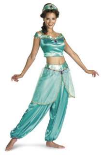 Aladdin Jasmine Deluxe Adult Costume   Includes, top, pants, headpiece 