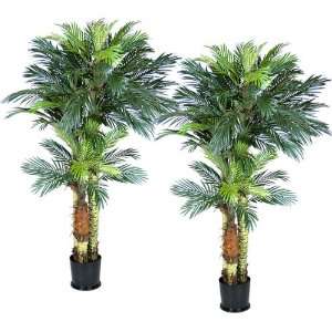   Foot, 4 1/2 Foot, and 3 1/2 Foot Artificial Double Potted Palm Trees