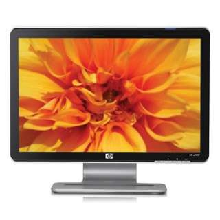   19 inch Widescreen Flat Panel LCD Monitor