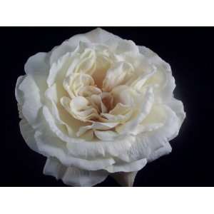    Large Ivory Neutral Open Rose Hair Flower Clip and Pin Beauty