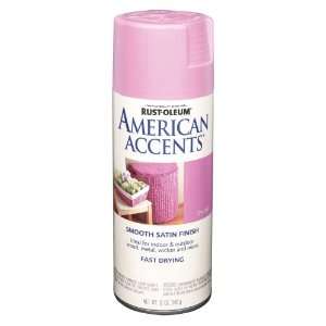   American Accents Spray, Satin Orchid, 12 Ounce