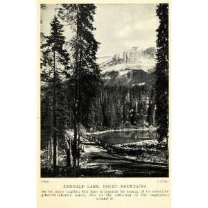   Landscape Pine Trees Yoho National Park   Original Halftone Print
