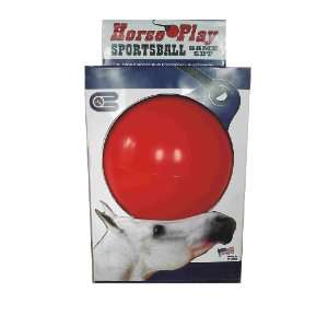  Horse Ball 10 Ball Horse Play Sports Ball