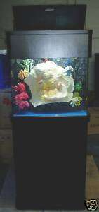 AquaVim 36 gallon reef ready cube glass aquarium combo  