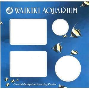  Waikiki Aquarium Laser Die Cut Paper 12 x 12 Frame Layout 