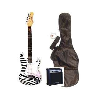   Whammy Bar, Strap, Cable, Pick, Strings, eBook, Free Mini Rubber