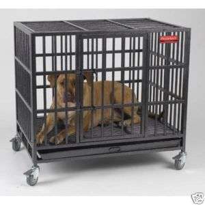 Dog Crate Kennel Cage Strong Steel ProSelect Empire LRG  