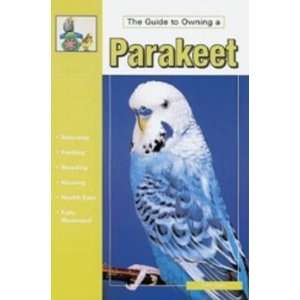  Guide To Owning A Parakeets (Budgie)