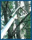 Vintage Buckingham Tree Pole Lineman Climbing Spikes Gaffs & Belt