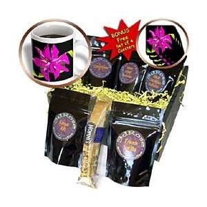 Poinsettia   Christmas Poinsettia Flower In Pink   Coffee Gift Baskets 