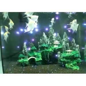   Star Decoration Aquariums Fish Tank Jar Bowl 100cm