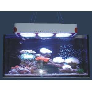  TaoTronics LEDGrow Light For Indoor Plant/Aquarium Coral Reef 