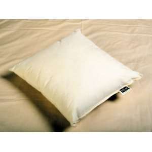    hom 16x16 Wool fill Organic Decorative Throw Pillow