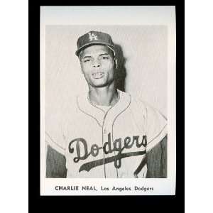  1961 Charlie Neal Los Angeles Dodgers Jay Publishing Photo 