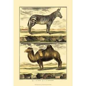  Diderots Zebra and Camel by Denis Diderot 13x19 Kitchen 