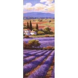  Fields Of Lavender II by Sung Kim 4x10