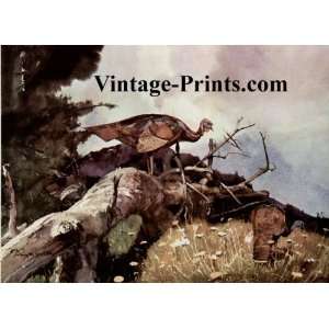  Roy Martell Mason Turkey Hunting   On Gobblers Knob Art 