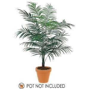  6 Dwarf Areca Silk Palm Tree