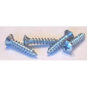 10 X 3/4 Self Tapping Screws Phillips / Oval Head / Type A / 18 8 
