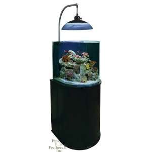  Cardiff Aquarium Kits Cardiff w/ Black Stand & Fluorescent 