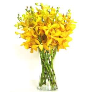 Fresh Flowers   Yellow Mokara Ordhids with Vase  Grocery 