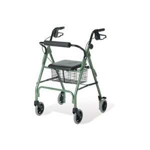 Envoy 460   Economy Rolling Walker   Green   1 Each   Model G07886G