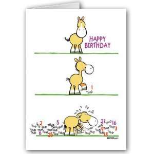  Funny Birthday Card Pack   12 cards and 13 envelopes 