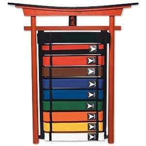  10 Level Karate Belt Wall Mount Display