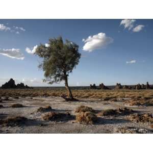  Desolate Landscape of Lac Abbe, Dotted with Limestone 