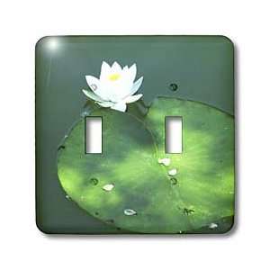 Florene Flower   White Lotus Blossom On Green Lily Pad   Light Switch 
