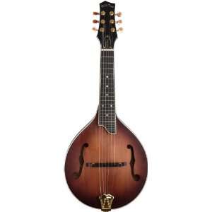   Acoustic Electric Guitar Mandolin with Case   Oil Musical Instruments
