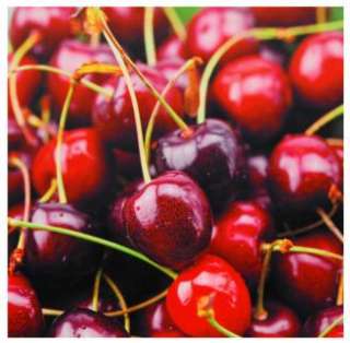 Gallery quality print of ripe cherries. Printed on durable canvas and 