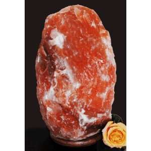  X Large Salt Lamp 45  55 lb.