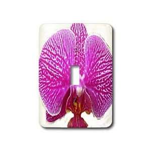  Florene Flowers   Orchid I Pretty   Light Switch Covers 