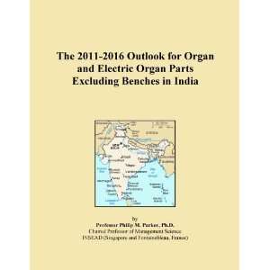   Outlook for Organ and Electric Organ Parts Excluding Benches in India