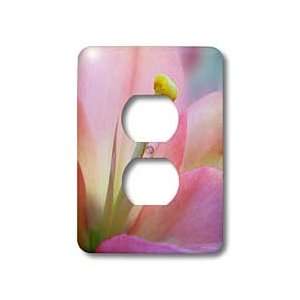  Doreen Erhardt Floral   Pink Lily   Light Switch Covers 